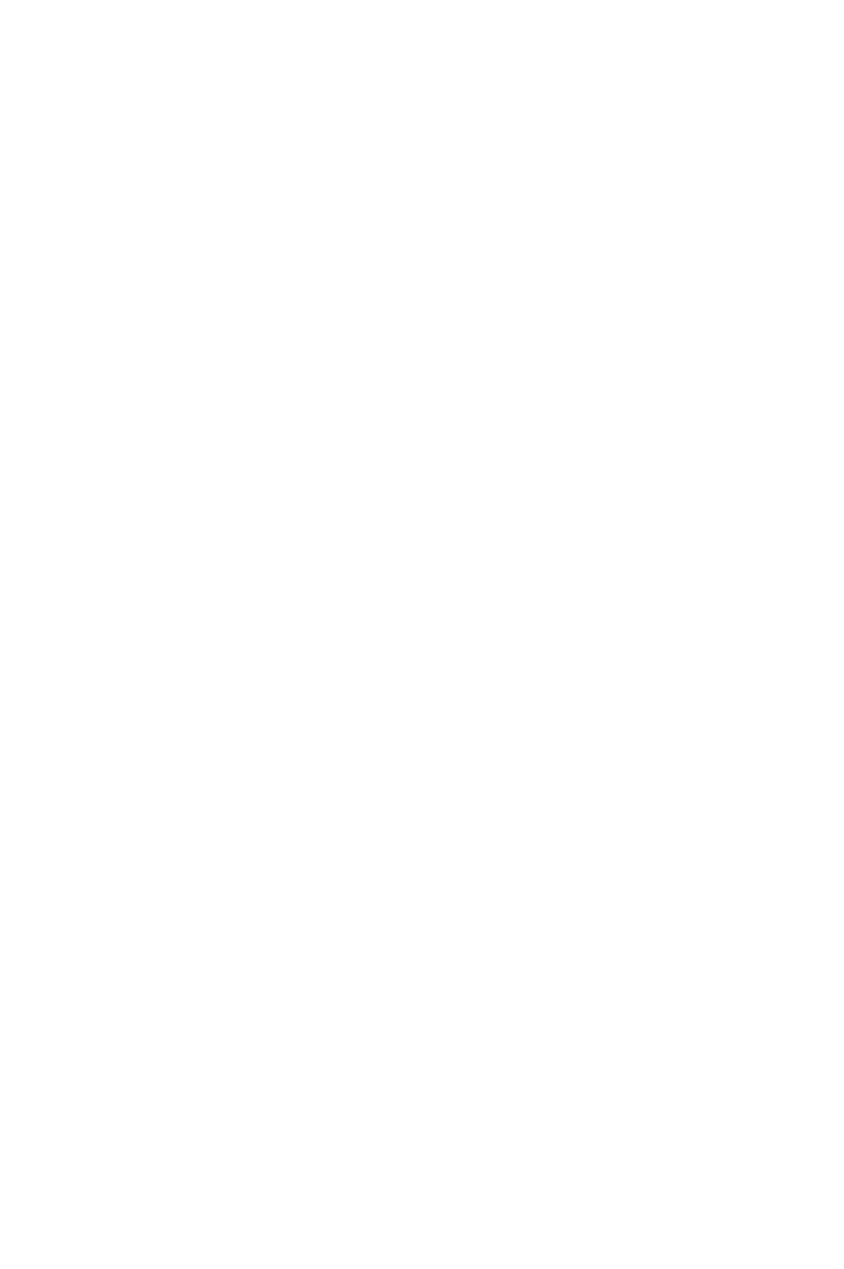 Rise Insurance capital Network